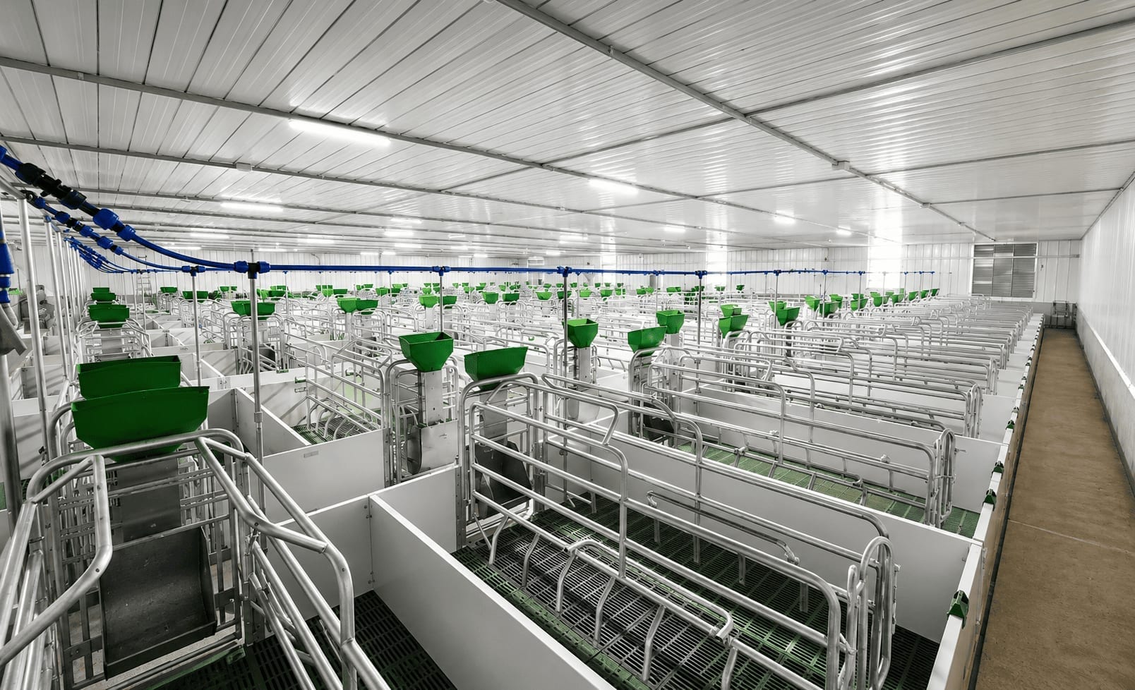 Maternidad climatizada con comederos automatizados y ambiente controlado.