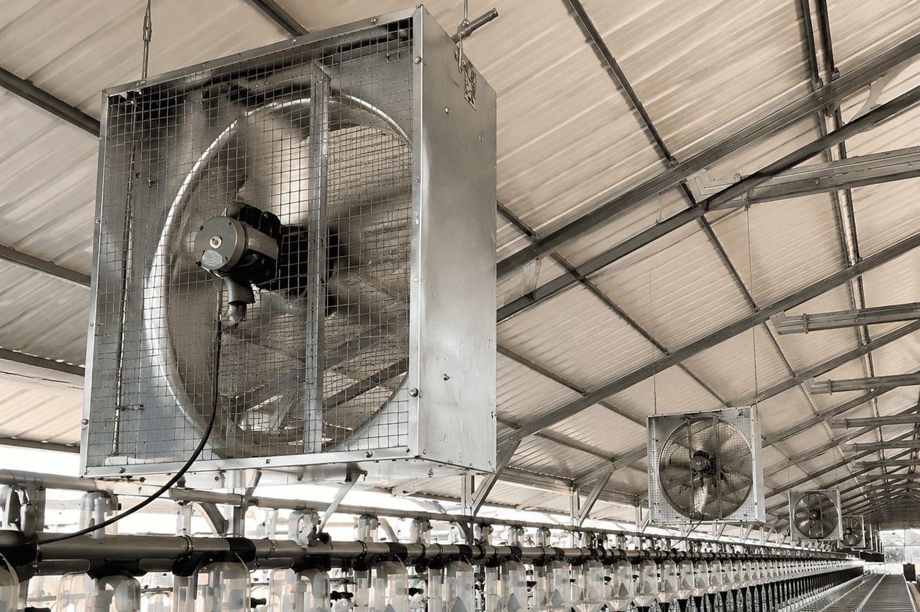 Sistema de ventilación industrial en nave de producción porcícola.